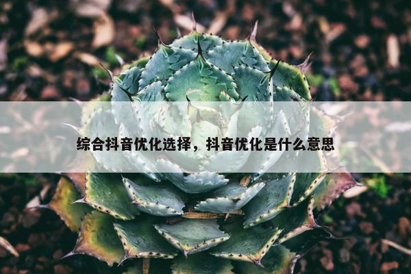 综合抖音优化选择，抖音优化是什么意思