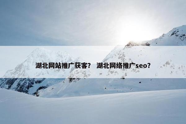 湖北网站推广获客？ 湖北网络推广seo？