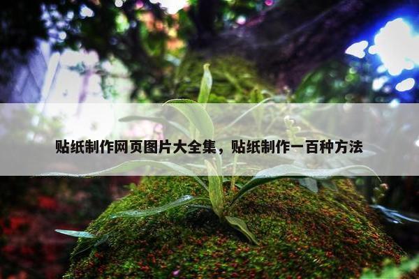 贴纸制作网页图片大全集，贴纸制作一百种方法