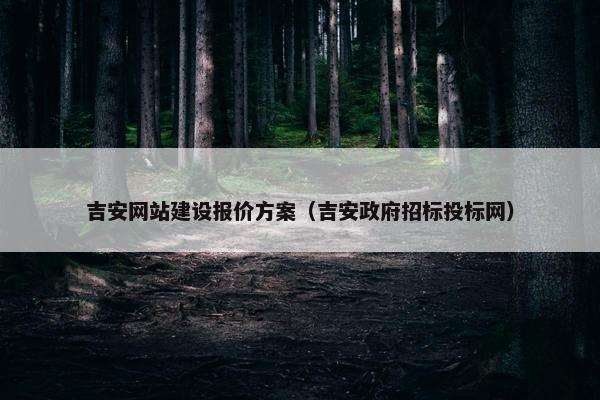吉安网站建设报价方案（吉安政府招标投标网）