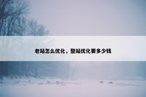 老站怎么优化，整站优化要多少钱