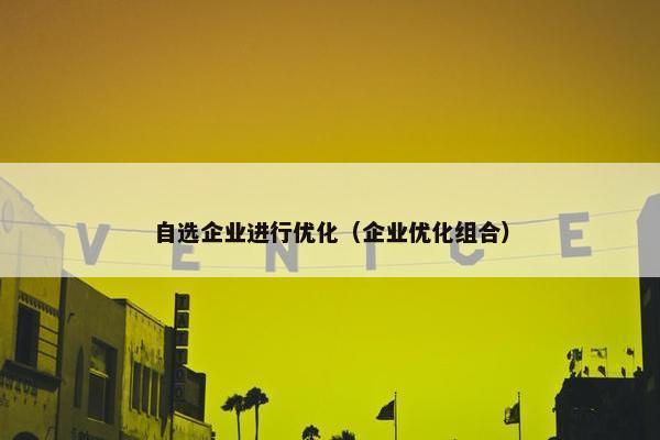 自选企业进行优化（企业优化组合）