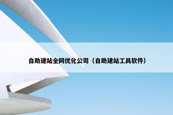 自助建站全网优化公司（自助建站工具软件）