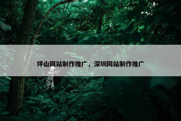 坪山网站制作推广，深圳网站制作推广