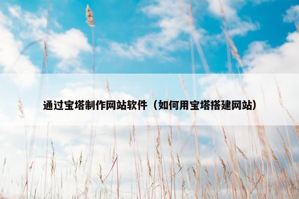 通过宝塔制作网站软件（如何用宝塔搭建网站）