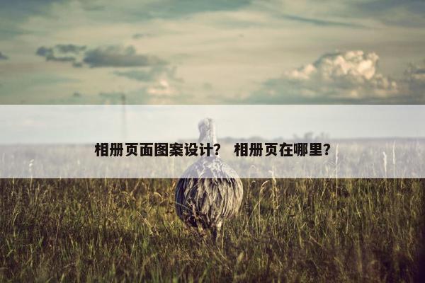 相册页面图案设计？ 相册页在哪里？