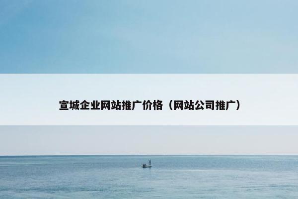 宣城企业网站推广价格（网站公司推广）
