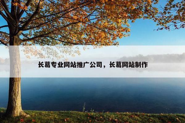 长葛专业网站推广公司，长葛网站制作
