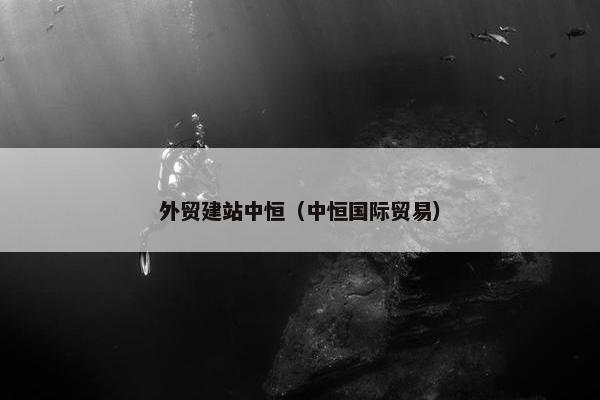 外贸建站中恒（中恒国际贸易）