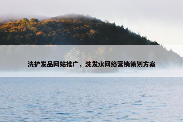 洗护发品网站推广，洗发水网络营销策划方案