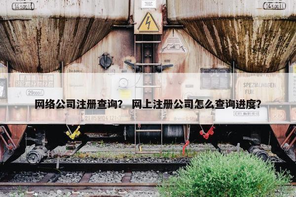 网络公司注册查询？ 网上注册公司怎么查询进度？