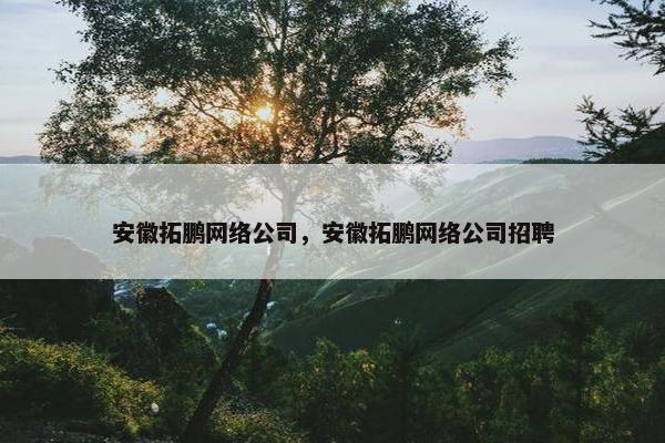安徽拓鹏网络公司，安徽拓鹏网络公司招聘