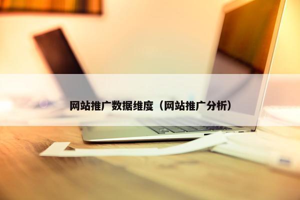 网站推广数据维度（网站推广分析）