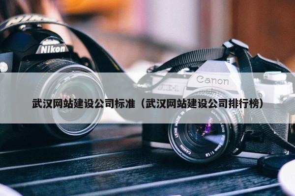 武汉网站建设公司标准（武汉网站建设公司排行榜）