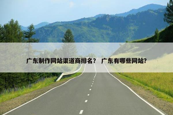 广东制作网站渠道商排名？ 广东有哪些网站？