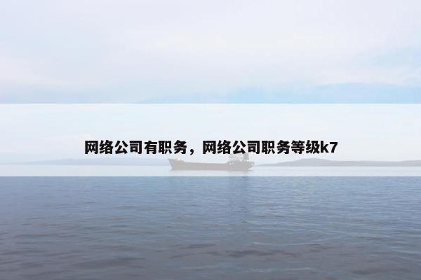 网络公司有职务，网络公司职务等级k7