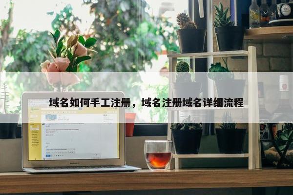 域名如何手工注册，域名注册域名详细流程