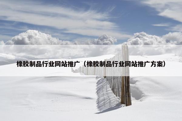 橡胶制品行业网站推广（橡胶制品行业网站推广方案）