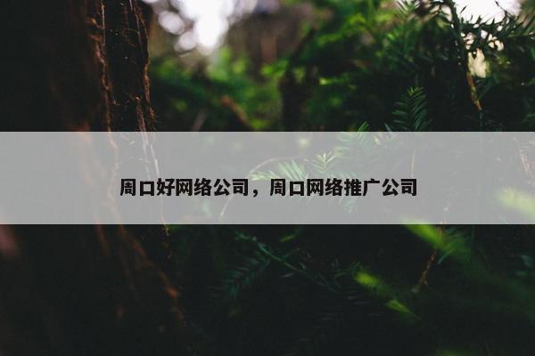 周口好网络公司，周口网络推广公司