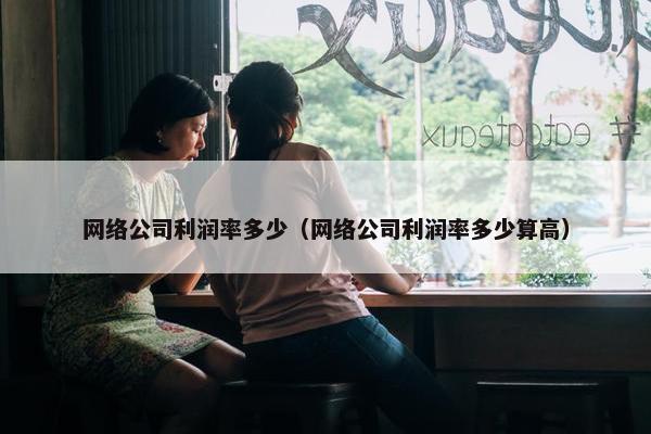 网络公司利润率多少（网络公司利润率多少算高）