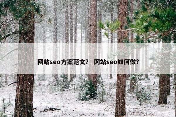 网站seo方案范文？ 网站seo如何做？