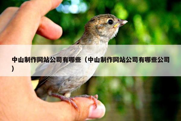 中山制作网站公司有哪些（中山制作网站公司有哪些公司）