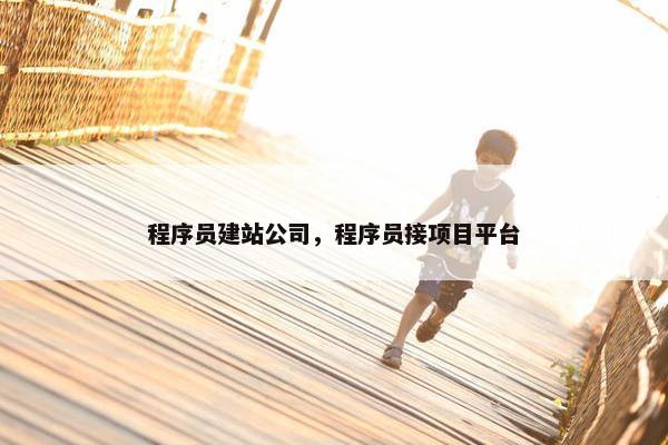 程序员建站公司，程序员接项目平台