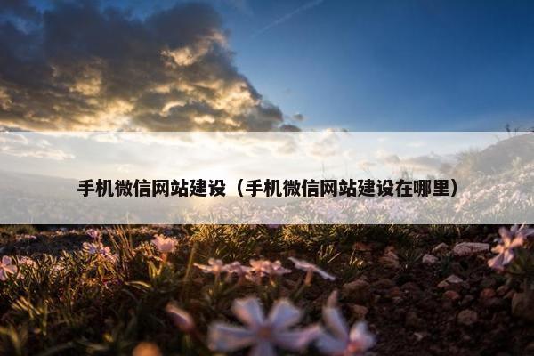 手机微信网站建设（手机微信网站建设在哪里）