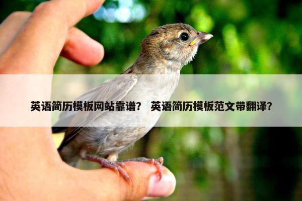 英语简历模板网站靠谱？ 英语简历模板范文带翻译？