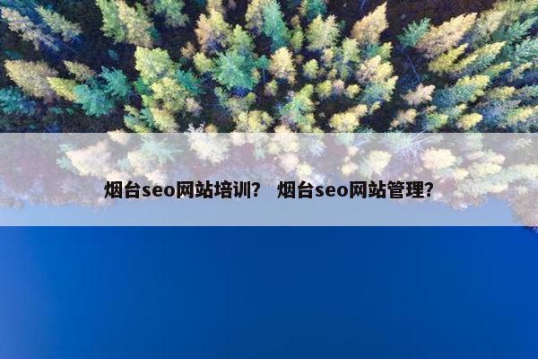 烟台seo网站培训？ 烟台seo网站管理？