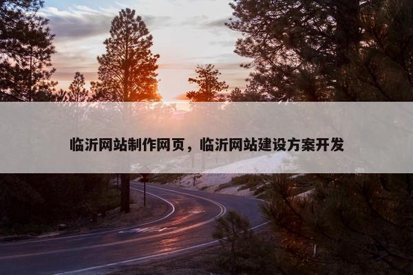 临沂网站制作网页，临沂网站建设方案开发