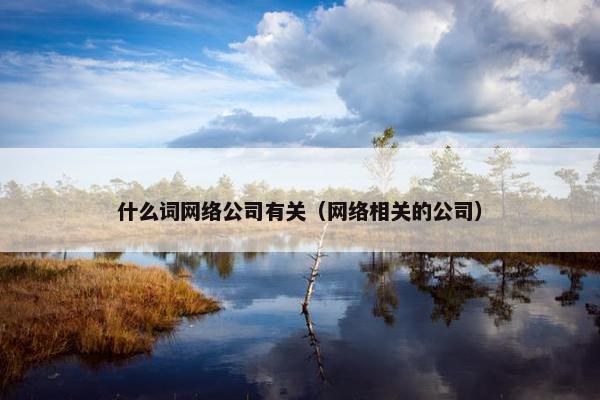 什么词网络公司有关（网络相关的公司）