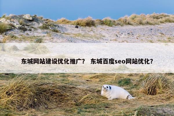 东城网站建设优化推广？ 东城百度seo网站优化？