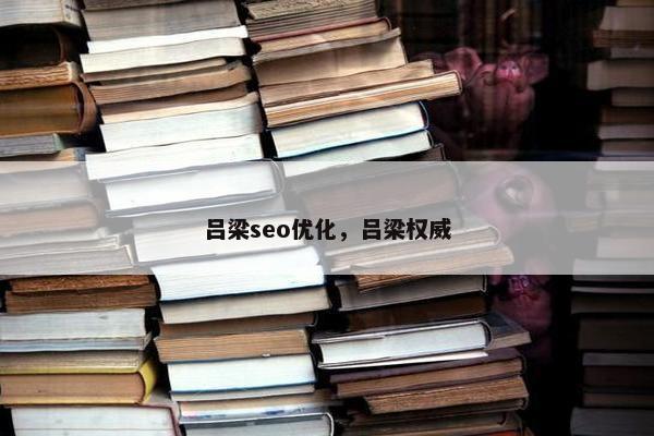 吕梁seo优化，吕梁权威