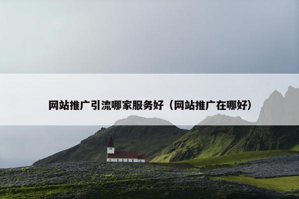网站推广引流哪家服务好（网站推广在哪好）