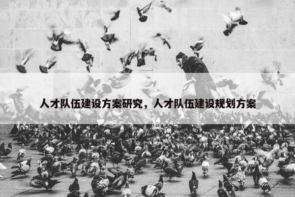 人才队伍建设方案研究，人才队伍建设规划方案