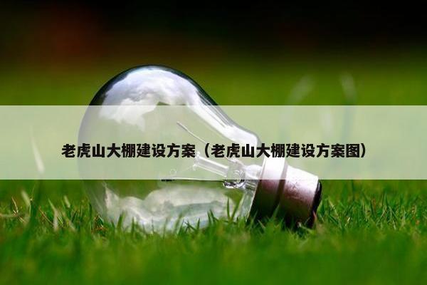 老虎山大棚建设方案（老虎山大棚建设方案图）