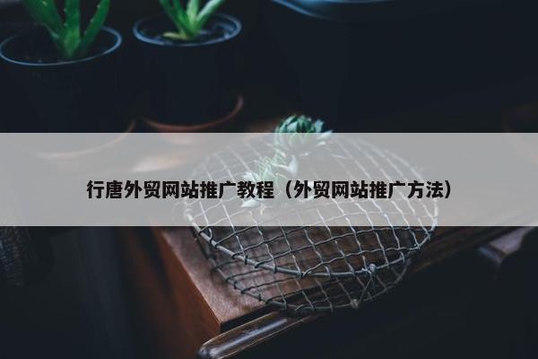 行唐外贸网站推广教程（外贸网站推广方法）