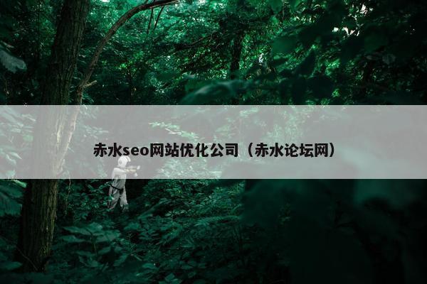 赤水seo网站优化公司（赤水论坛网）
