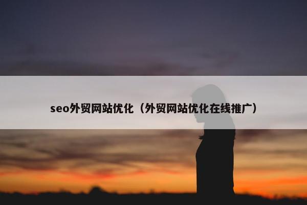 seo外贸网站优化（外贸网站优化在线推广）