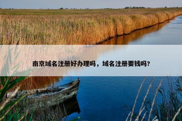 南京域名注册好办理吗，域名注册要钱吗?