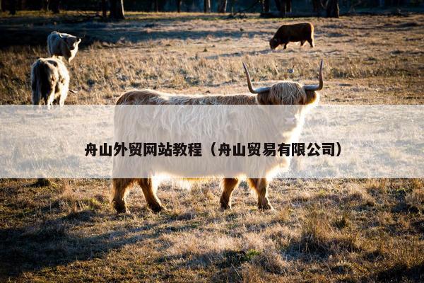 舟山外贸网站教程（舟山贸易有限公司）