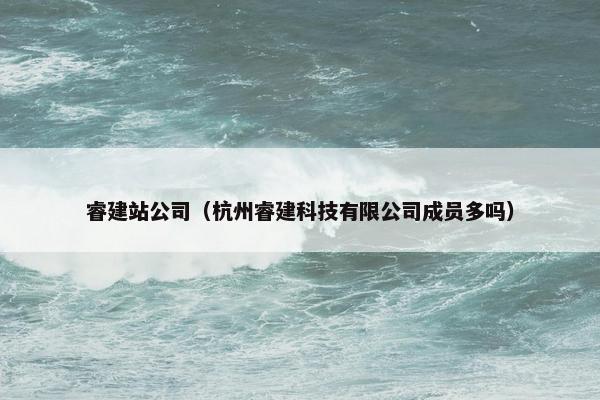睿建站公司（杭州睿建科技有限公司成员多吗）