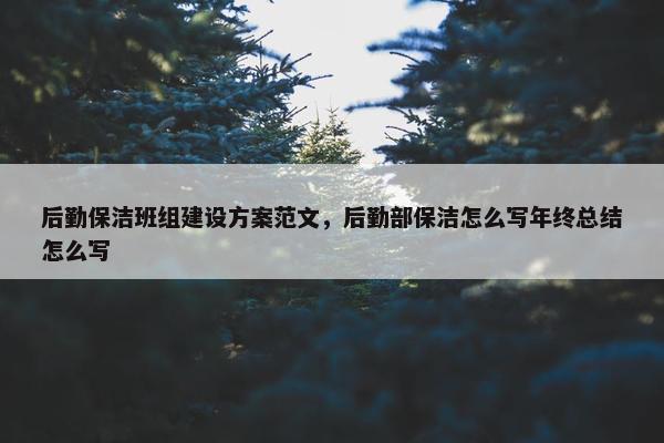 后勤保洁班组建设方案范文，后勤部保洁怎么写年终总结怎么写