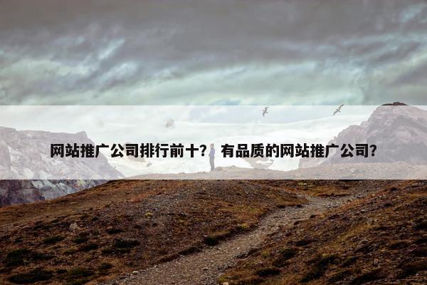 网站推广公司排行前十？ 有品质的网站推广公司？