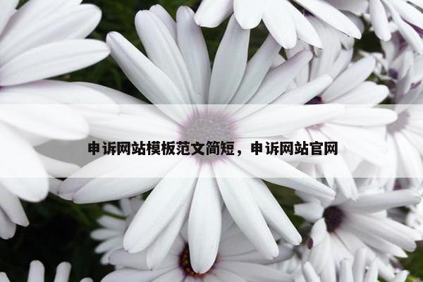 申诉网站模板范文简短，申诉网站官网
