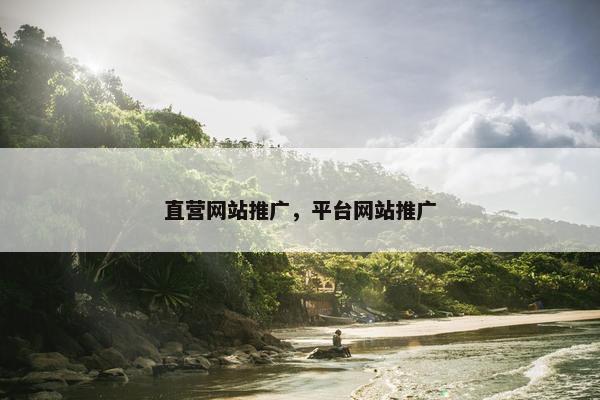 直营网站推广，平台网站推广
