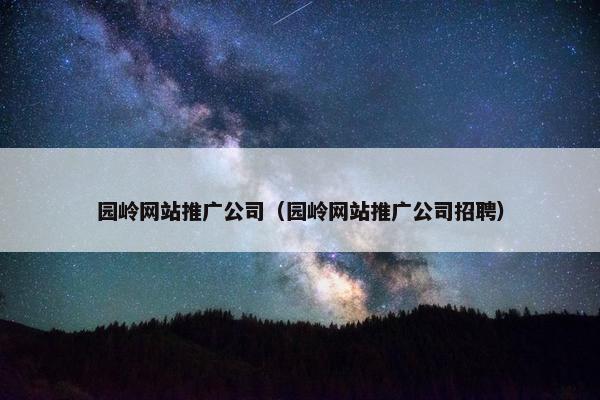 园岭网站推广公司（园岭网站推广公司招聘）