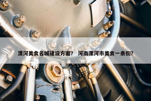漯河美食名城建设方案？ 河南漯河市美食一条街？