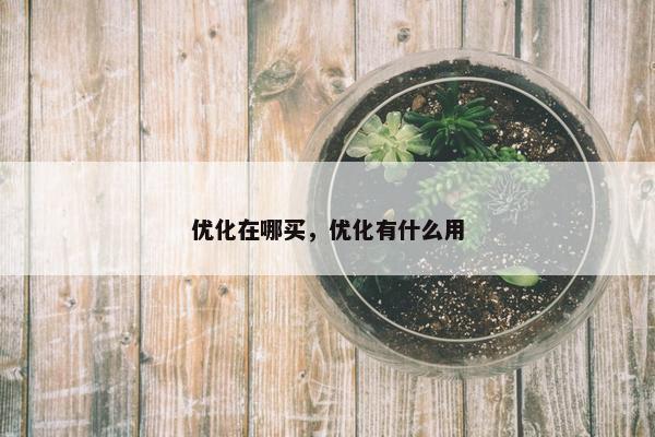 优化在哪买，优化有什么用